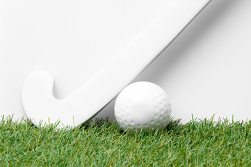 Field hockey stick and ball on the green field. Professional sport concept