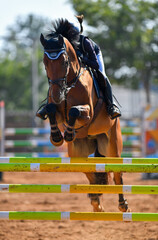 Rider on horse jumping over a hurdle during the equestrian event	
