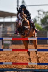 Rider on horse jumping over a hurdle during the equestrian event	
