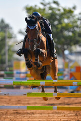 Rider on horse jumping over a hurdle during the equestrian event	
