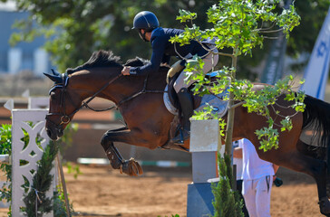 Rider on horse jumping over a hurdle during the equestrian event	
