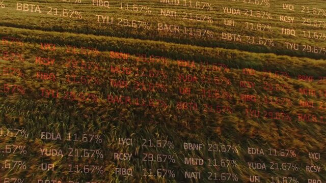 Animation of financial data processing over agriculture field