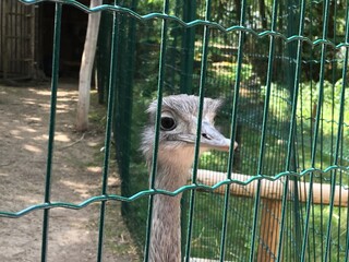 Tiere im Zoo Aschersleben (31)