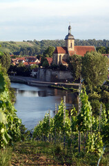 Lauffen am Neckar