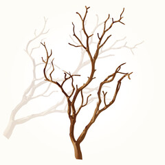 illustration of a tree branch without leaves on a white background