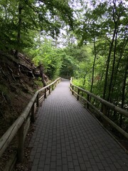 Der Baumwipfelpfad in Wernigerode (22)