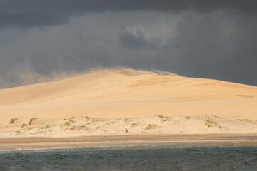 sand flying in the dunes on an ugly day