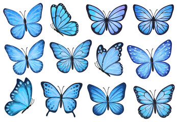 Set of blue butterflies isolated on white background. Watercolor. Illustration. Template, blue  butterfly spring illustration.