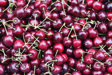 Hintergrund Süßkirschen.