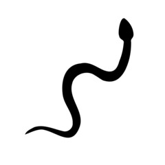 Vector hand drawn snake silhouette isolated on white background