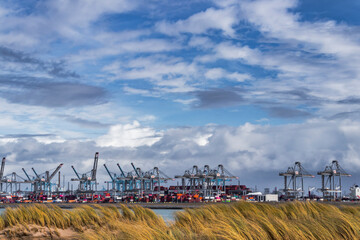 Container terminal in the Rotterdam harbor - obrazy, fototapety, plakaty