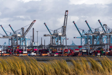 Container terminal in the Rotterdam harbor