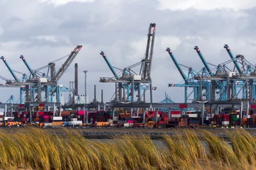 Fotobehang Containerterminal in de Rotterdamse haven © Roger