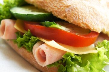 Cheese sandwich with bacon, lettuce, tomato and cucumber.