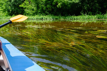 A paddle for rowing yellow in the hands of a girl while kayaking on the river with beautiful seaweed