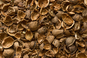 Walnuts peel background. Broken nut husk