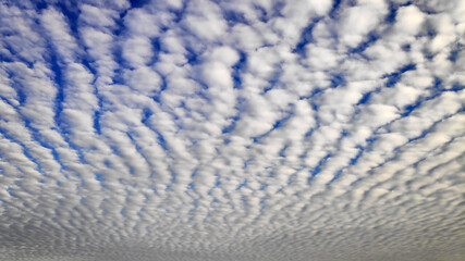 Sky Cloudscape with altocumulus clouds - obrazy, fototapety, plakaty