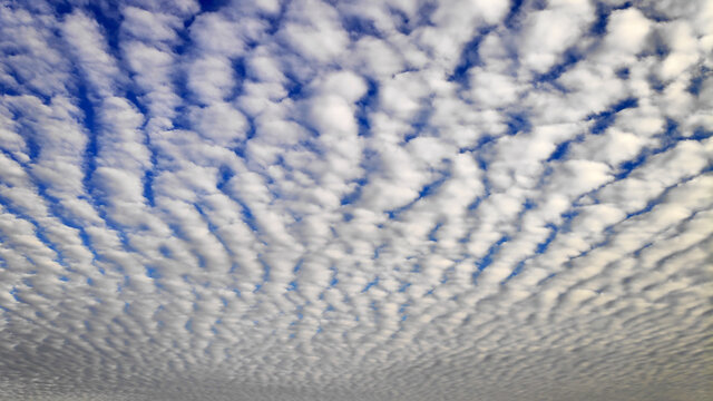 Sky Cloudscape with altocumulus clouds
