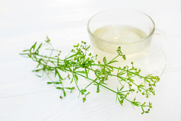 Fototapeta na wymiar Herbal tea from dungeon, Galium aparine cleavers. Urinary drink next to fresh grass clivers, goosegrass and grip bedstraw on white wooden table