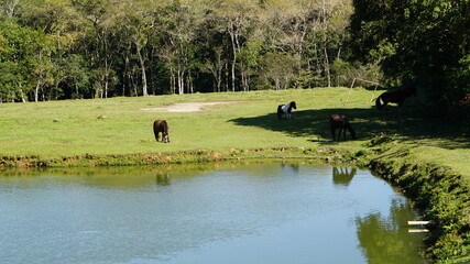 Zoo and farm