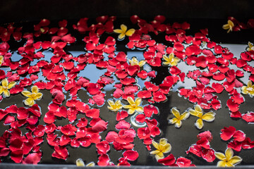 Rose petals put in bathtub for romantic bathroom in honeymoon suit