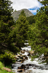 rio del vall del riu en andorra