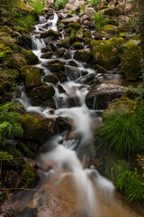 Fototapeta premium Beautiful water stream in Gresso river Portugal