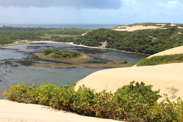 Fototapeta na wymiar Dunes of Genipabu Beach II