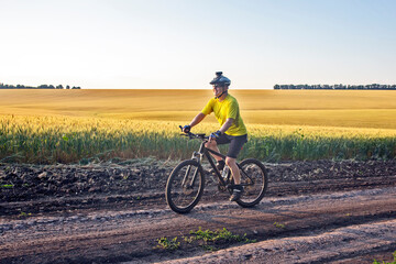 Obraz premium cyclist on bike rides along the fields of wheat in the sunlight