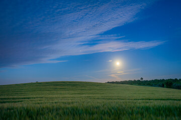 Fototapeta na wymiar moonlight over field