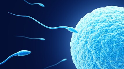 Fertilization. Egg and sperm. Dark blue background.  Spermatozoon and ovum. 3d illustration. - obrazy, fototapety, plakaty