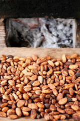 cocoa beans and fruits - Theobroma cacao L. image, close-up image