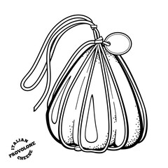 Provolone italian cheese.. Outline illustrationin doodle style.