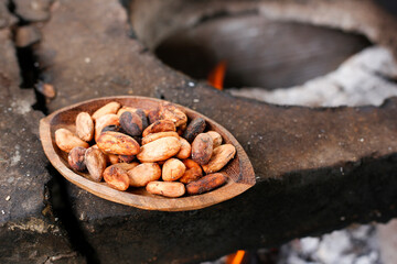 cocoa beans and fruits - Theobroma cacao L. image, close-up image