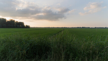 An empty meadow during sunset on a summer evening