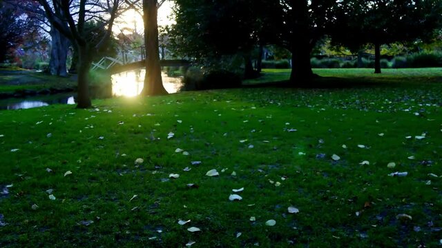 Time-lapse photography of the light and shadows of the trees under the sun on the grass, Mona Vale garden park