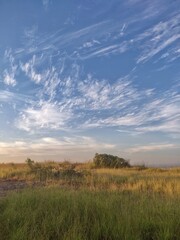 Fototapeta premium landscape with sky