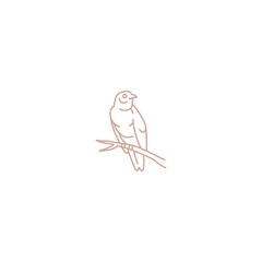 Obraz premium bird