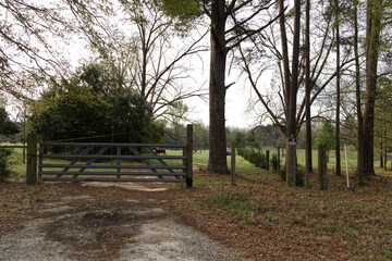 Cows on a pasture and gated fence and no trespassing sign