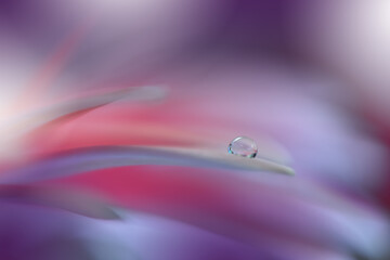 Beautiful macro shot of magic flowers.Border art design. Magic light.Extreme close up macro photography.Conceptual abstract image.Violet and Pink Background.Fantasy Art.Creative Wallpaper.Water Drop.