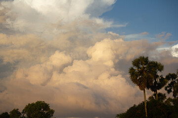 Fototapeta na wymiar clouds in the sky front tree