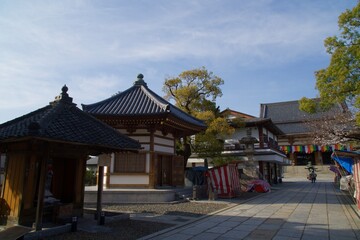 西新井大師の春　満開の桜の季節