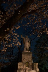 Fototapeta na wymiar 池上本門寺夜景　満開の桜と本門寺
