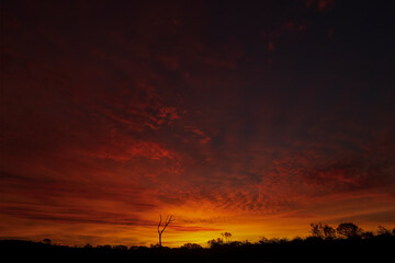 Orange sunset in the Australian outback