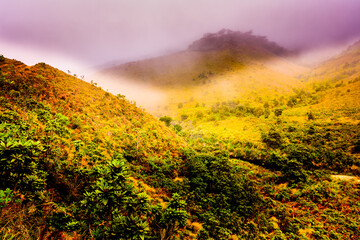 Hiking Horton Plains National Park in a Rainy and Foggy Morning