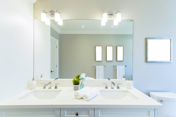 Staged En Suite Bathroom with Vanity and Mirror reflection