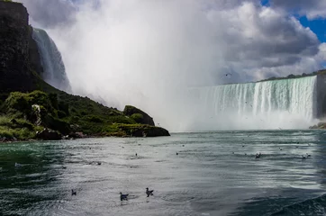 Foto op Canvas Niagara Falls - View at River Level © Bruce
