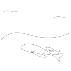 Whale sketch on white background, vector illustration