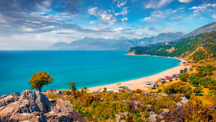 Lonely tree on the shore of Lukove beach. Fantastic spring seascape of Adriatic sea. Captivating outdoor scene of Albania, Europe. Beauty of nature concept background.