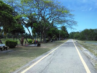 park in the city blue sky
